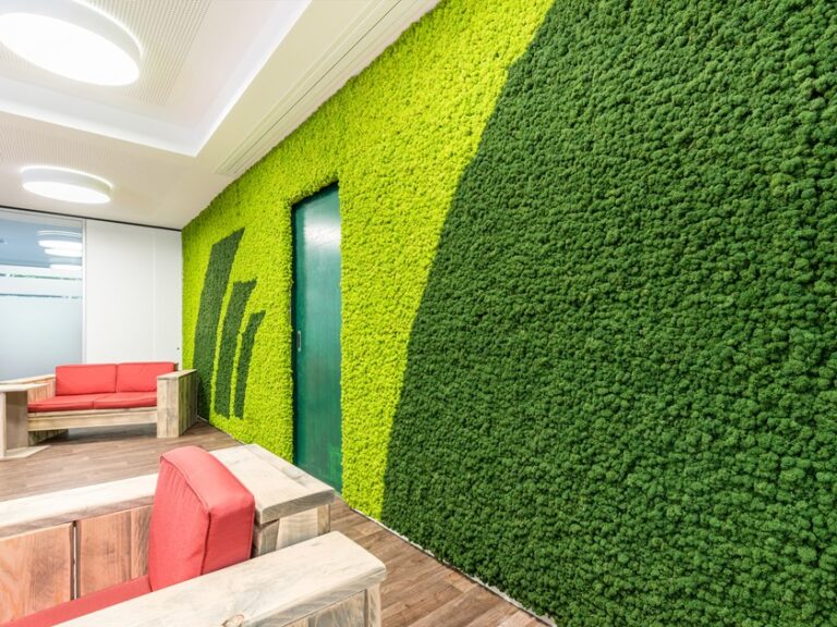 natural preserved green wall