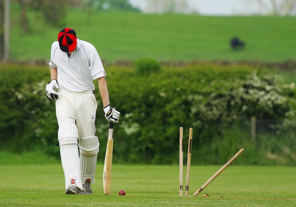 Cricket Superstars Who Were Not Selected in First Overseas Draft of the Big Bash League 2 cricket 724616 960 720